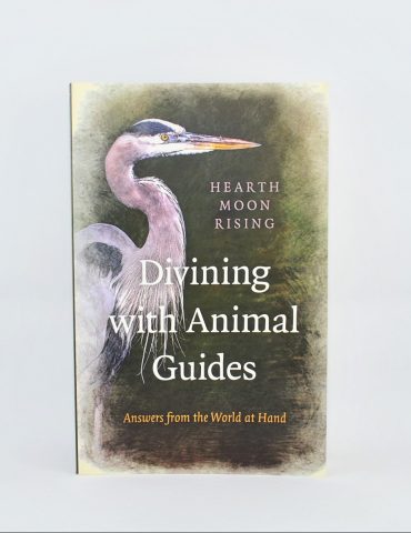Divining with Animal Guides