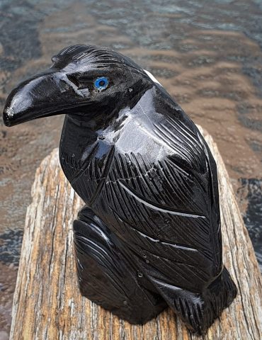 Onyx Raven