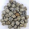 Dalmatian Jasper Tumbled Stone