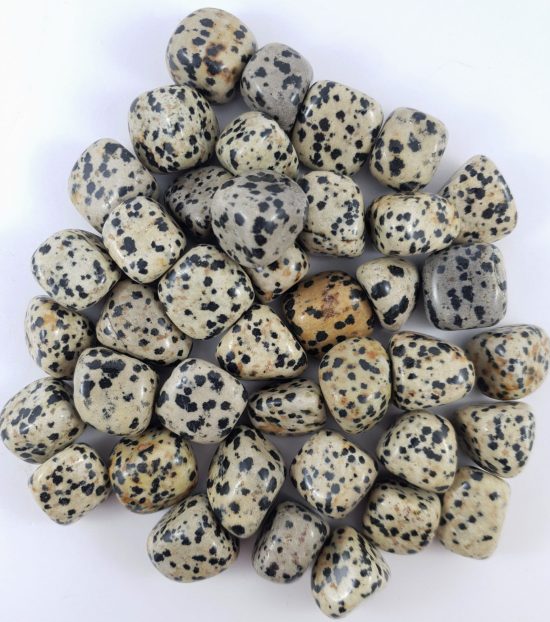 Dalmatian Jasper Tumbled Stone