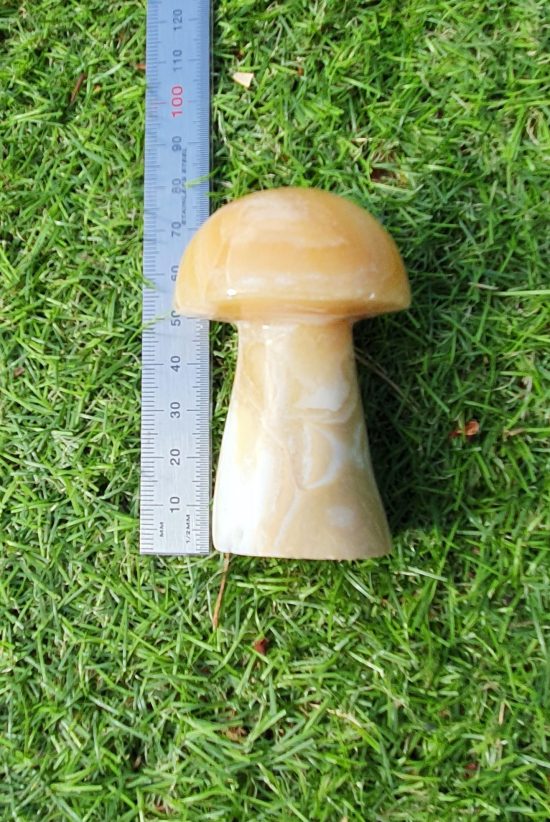 Yellow Calcite Mushroom