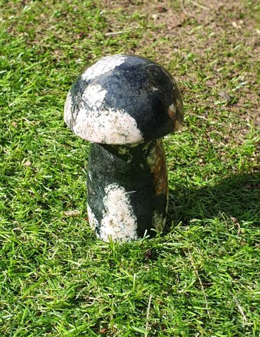Marshmallow Jasper Mushroom